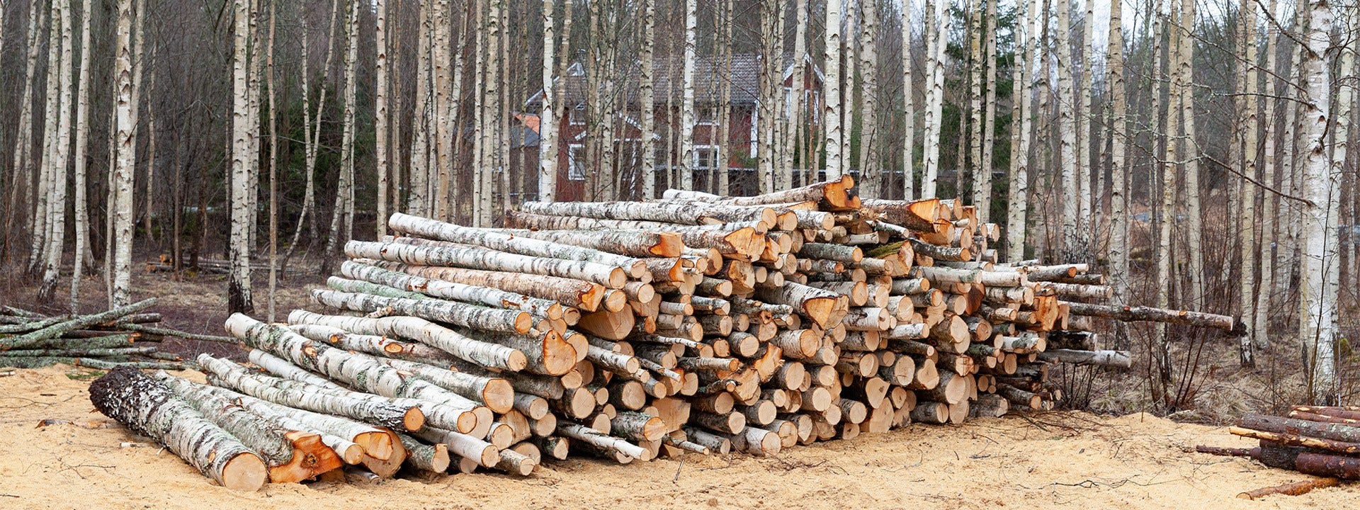 Two Brothers from Sweden Successfully Run Their Construction and Carpentry Workshop