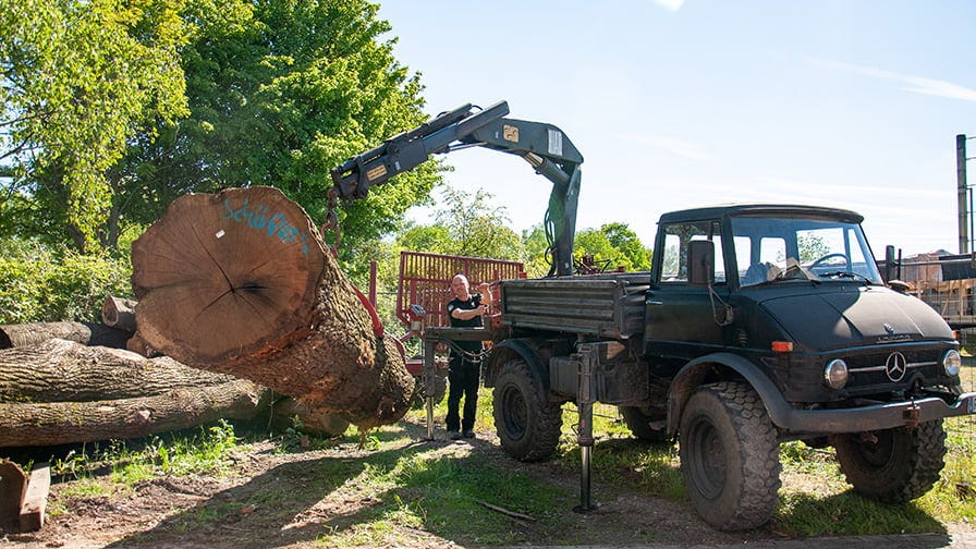 They buy oak wood from trusted suppliers