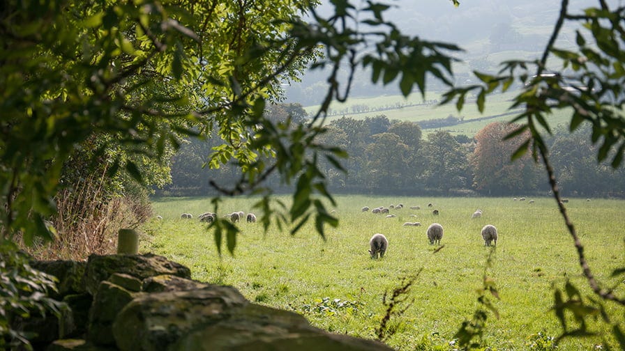 Henry and his wife manage 300 acre farm