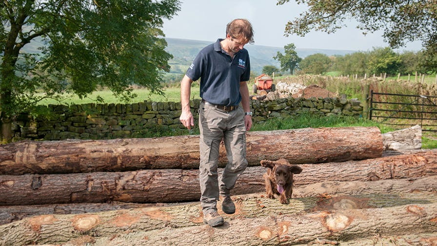 Henry at log stock