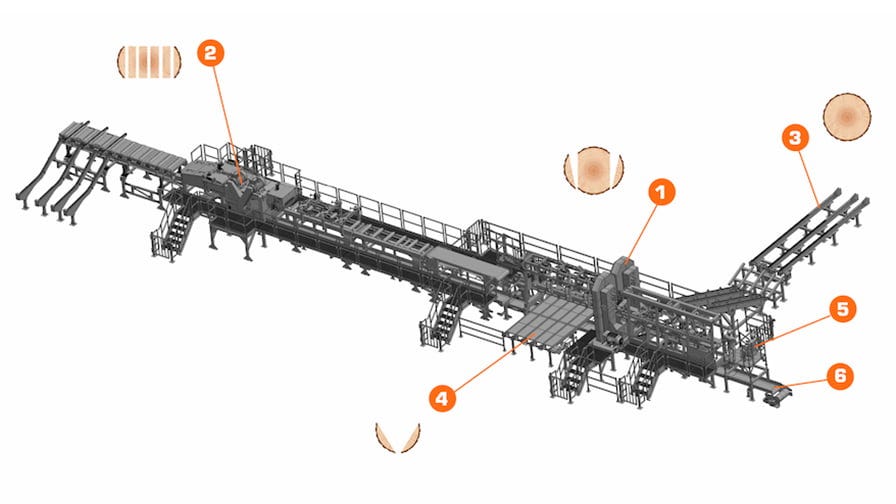 TITAN sawmilling system layout