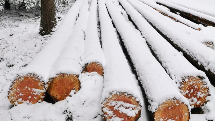 Snowy logs